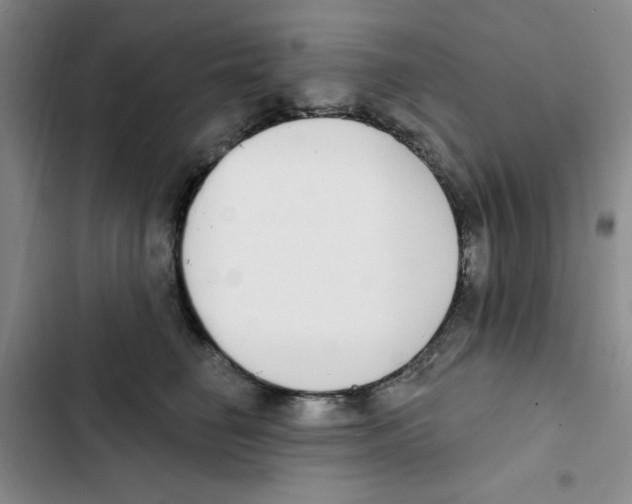 X0000102810662200809150953