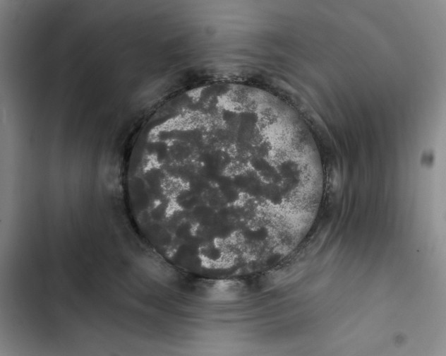 X0000102810663200809150953