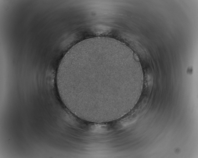 X0000102810664200809150953