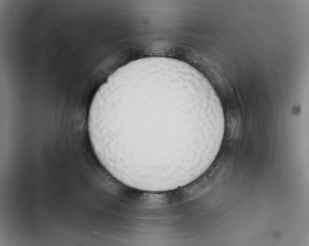 X0000102810665200809150953