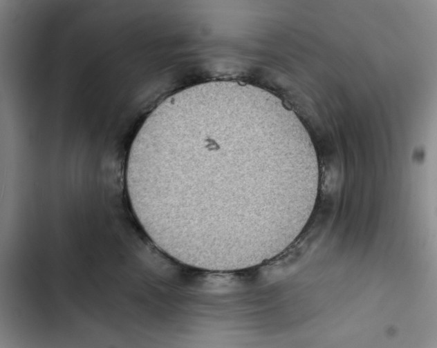 X0000102810666200809150953