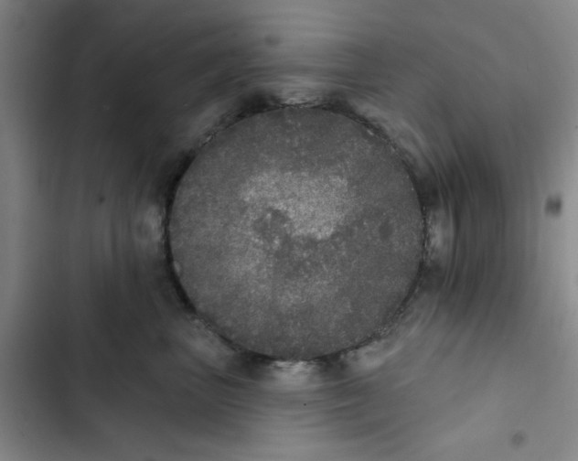 X0000102810667200809150953