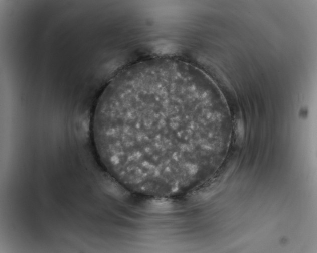 X0000102810668200809150953