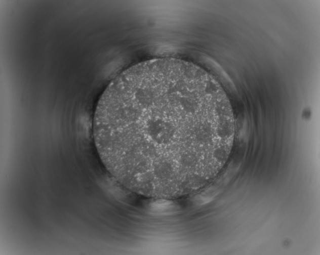 X0000102810669200809150953