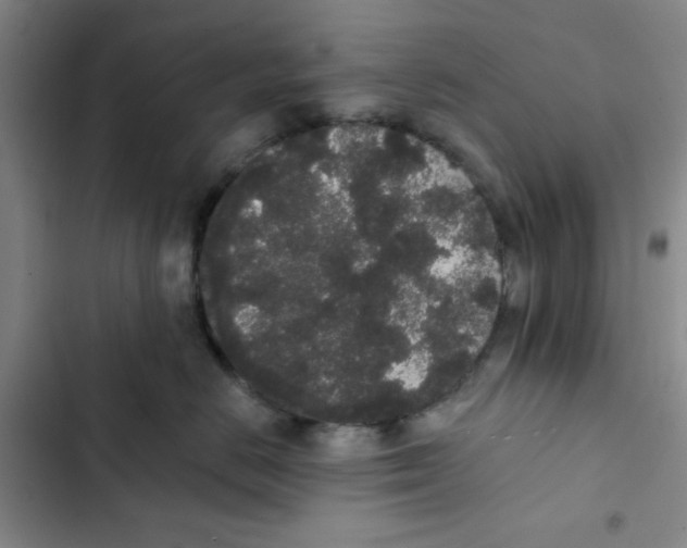 X0000102810670200809150953