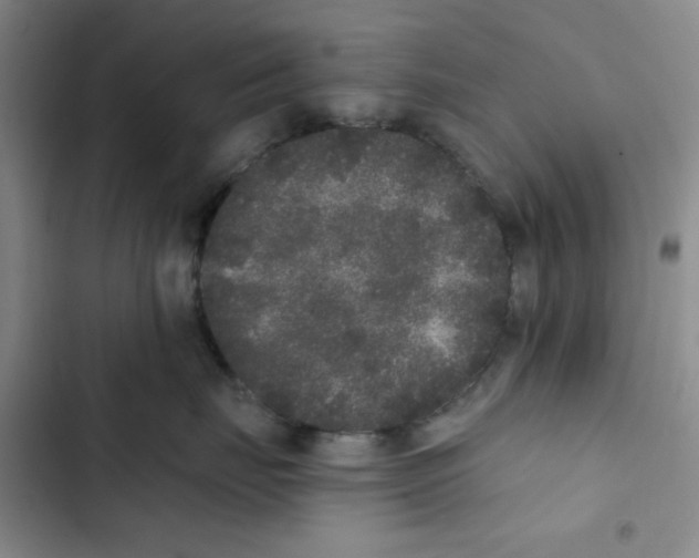 X0000102810671200809150953