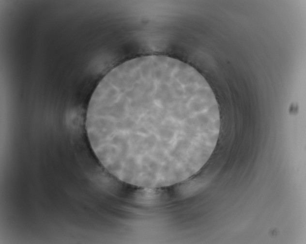 X0000102810672200809150953