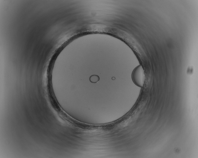 X0000102810674200809150952