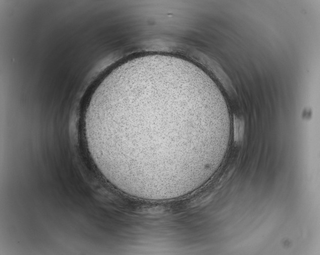 X0000102810675200809150952