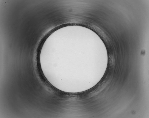 X0000102810676200809150952