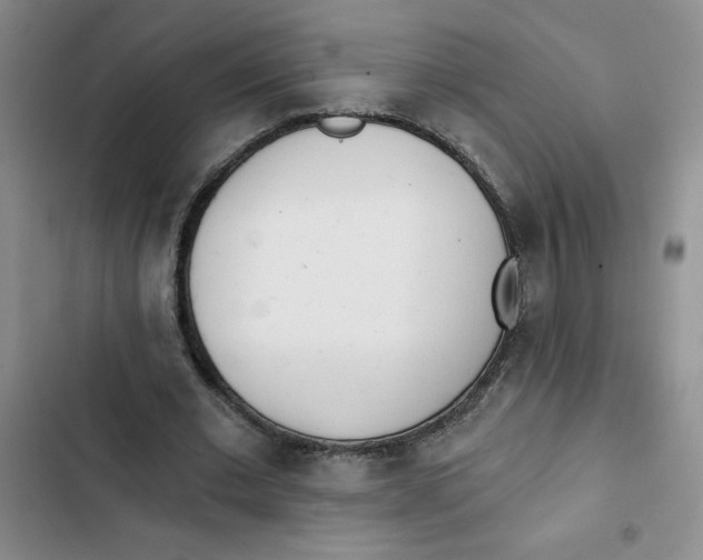 X0000102810677200809150952