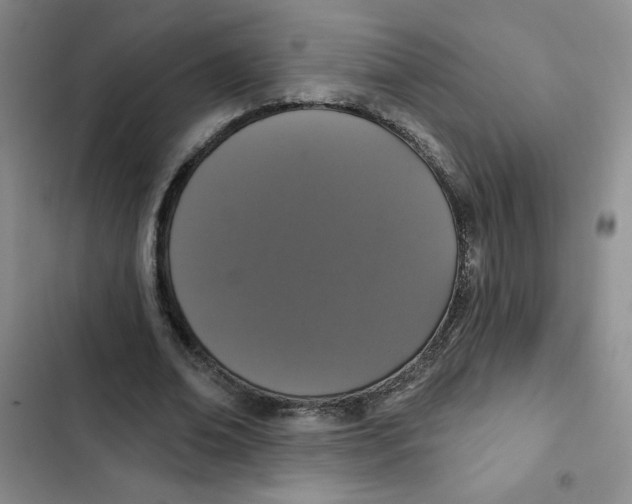 X0000102810678200809150952