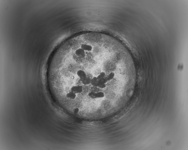 X0000102810679200809150952