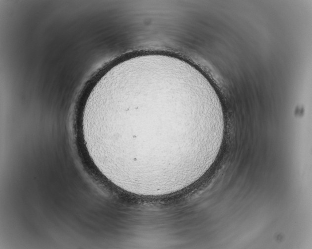 X0000102810680200809150952