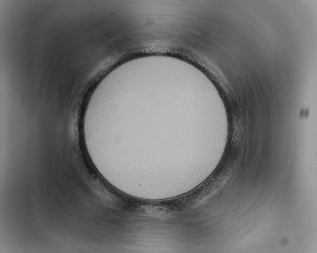 X0000102810681200809150952