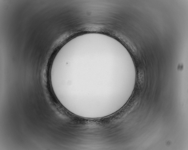 X0000102810682200809150952