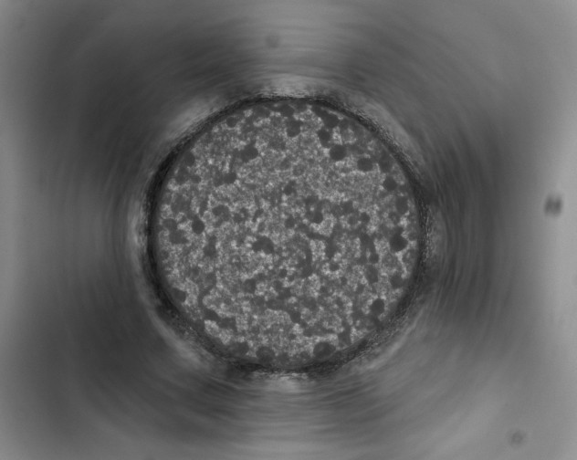 X0000102810683200809150952