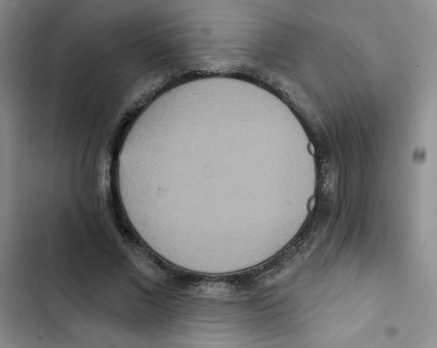 X0000102810685200809150952