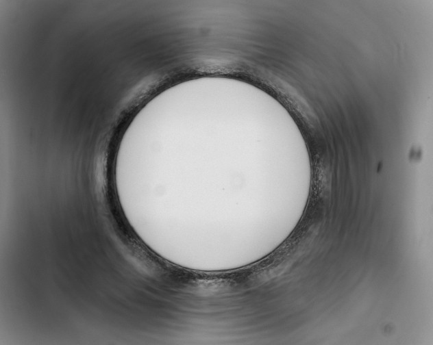 X0000102810686200809150952