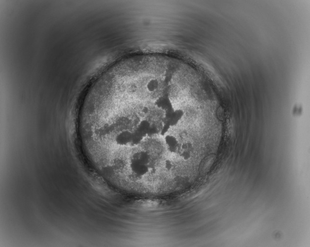 X0000102810687200809150952