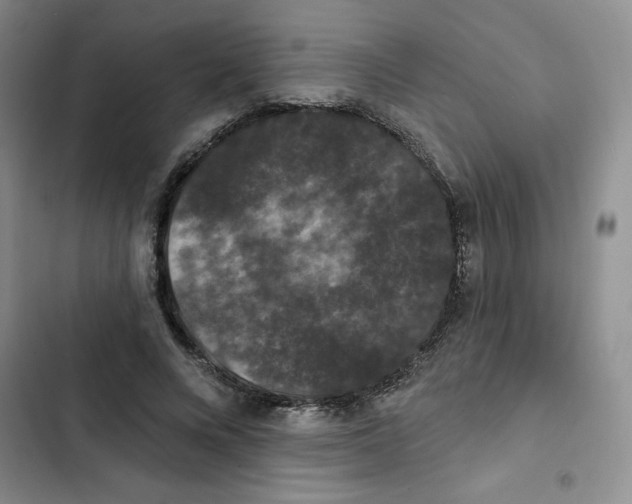 X0000102810688200809150952