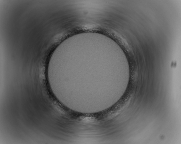 X0000102810689200809150952