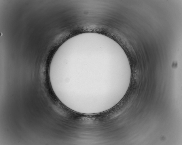 X0000102810690200809150952