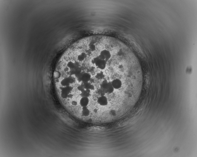 X0000102810691200809150952