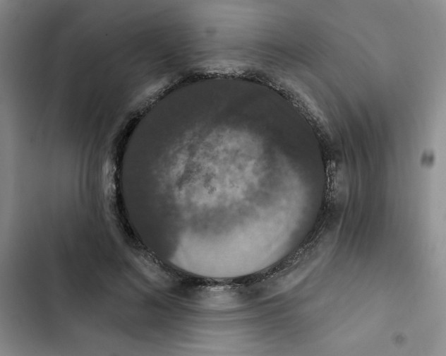 X0000102810692200809150952