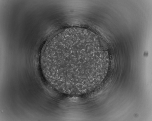 X0000102810695200809150952