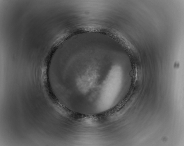 X0000102810696200809150952