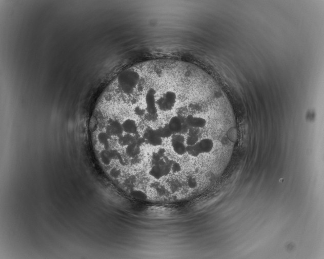 X0000102810699200809150952