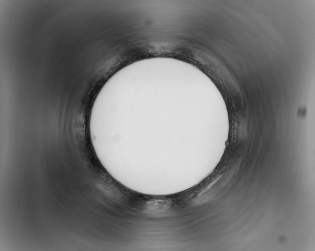 X0000102810700200809150952