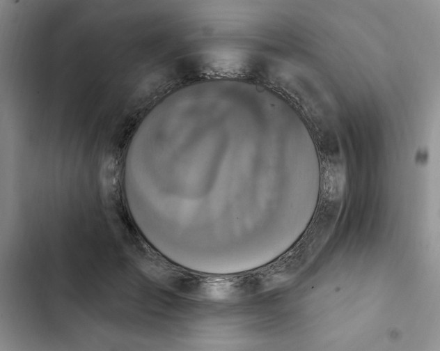 X0000102810701200809150952