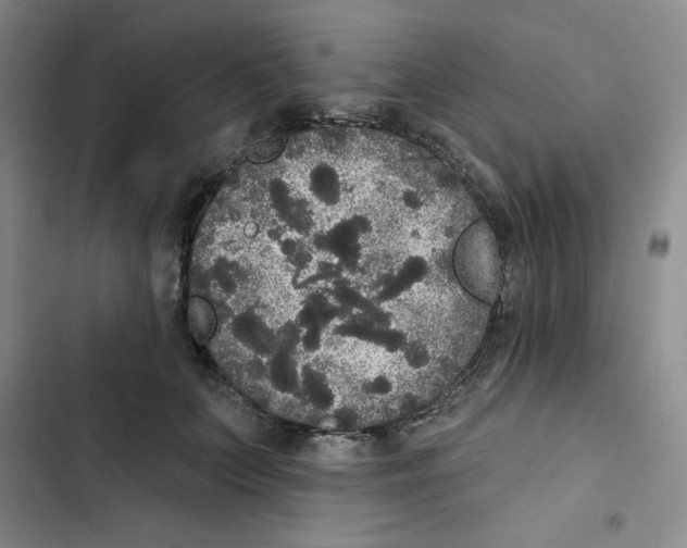 X0000102810703200809150952