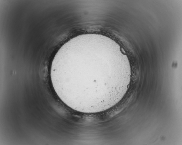 X0000102810704200809150952