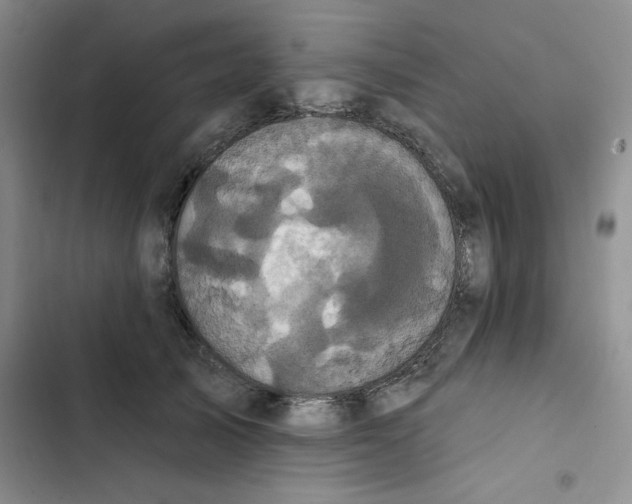 X0000102810705200809150952