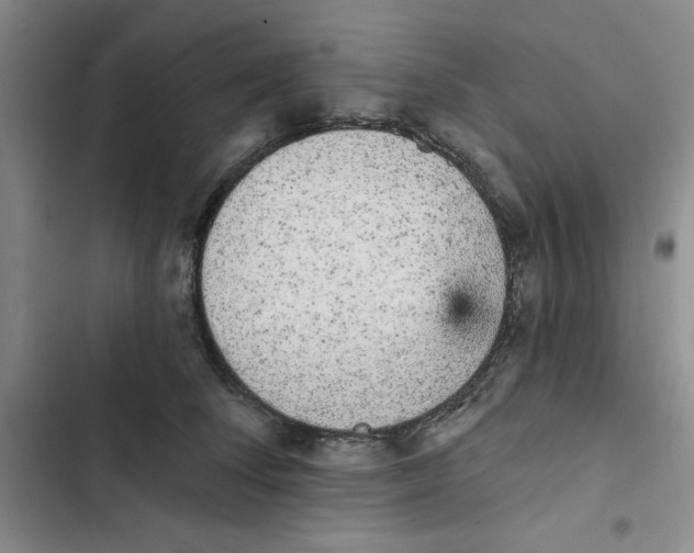 X0000102810708200809150952