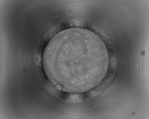 X0000102810709200809150952