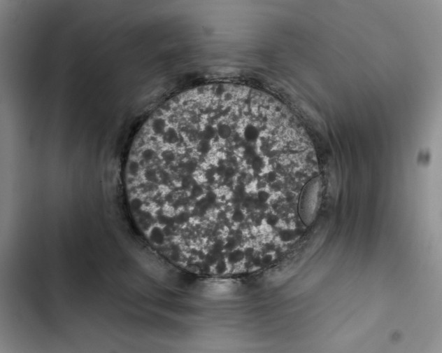 X0000102810711200809150952