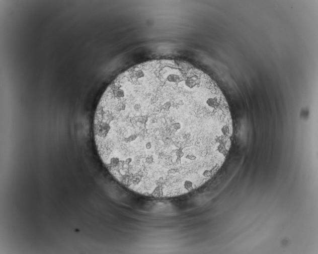 X0000102810715200809150952