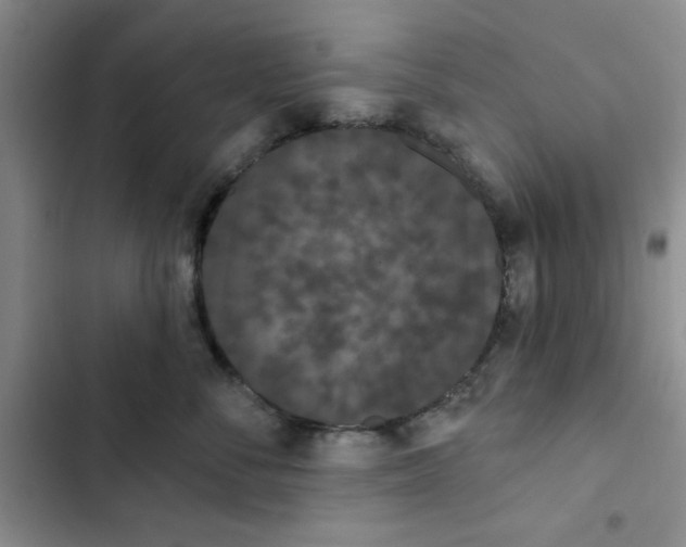 X0000102810716200809150952