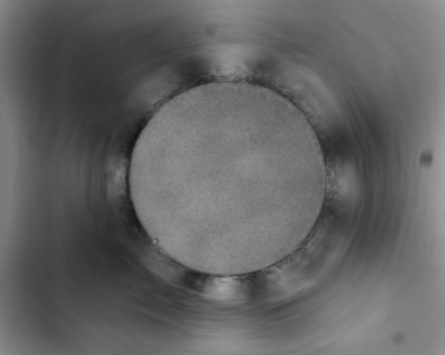 X0000102810717200809150952