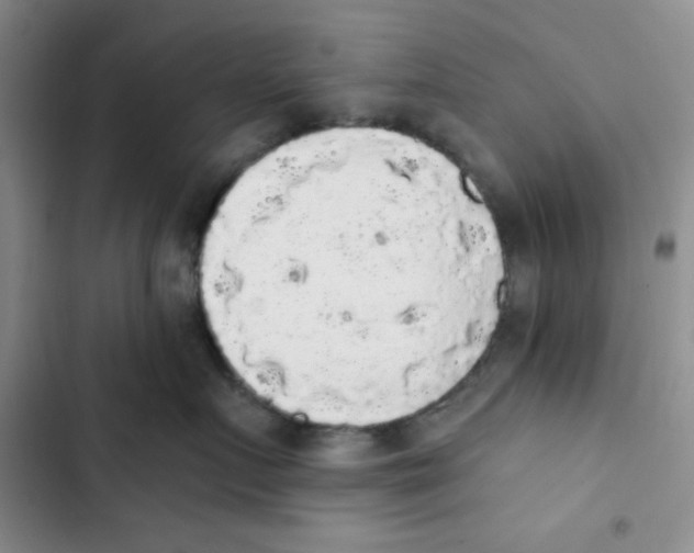 X0000102810719200809150952