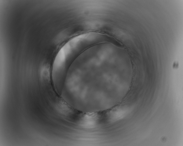 X0000102810720200809150952