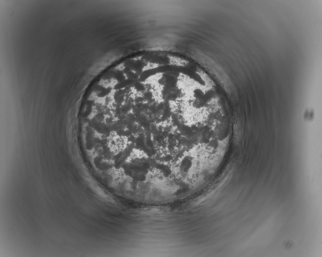 X0000102810721200809150951