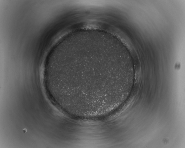 X0000102810722200809150951