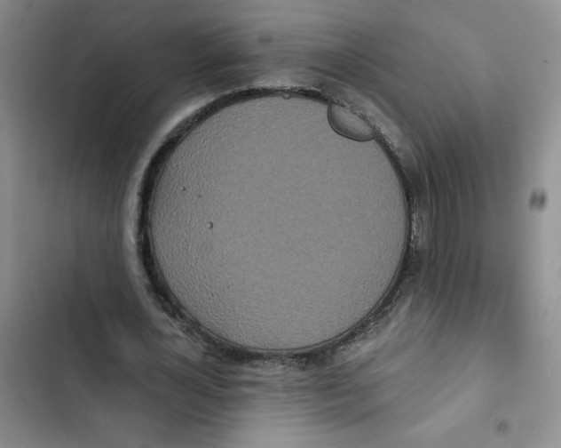 X0000102810724200809150951