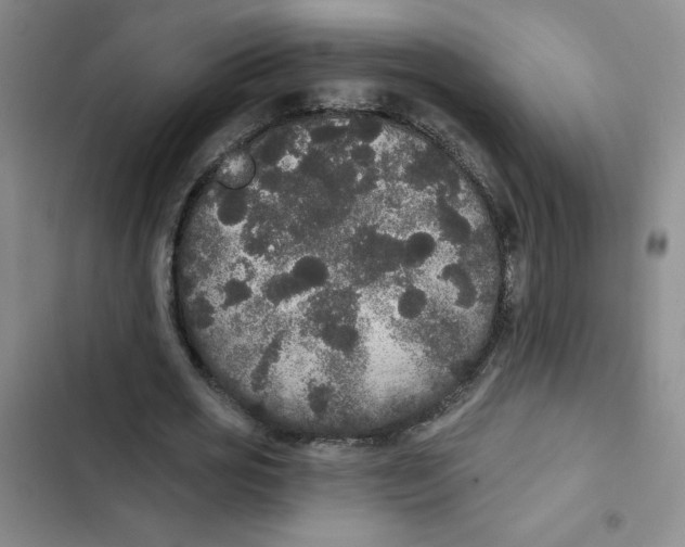 X0000102810725200809150951