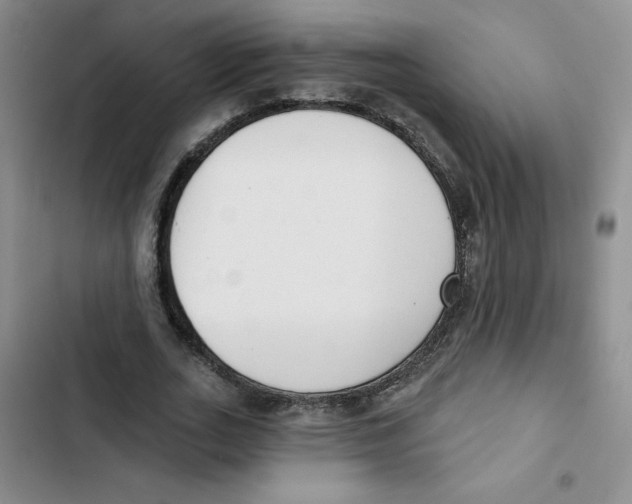 X0000102810727200809150951